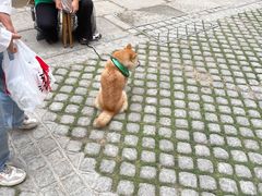 -上街里市集(悦喜客来广场店)