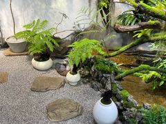 -双季花艺园艺市场(浦东店)