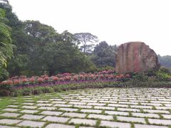 -华南国家植物园-售票处