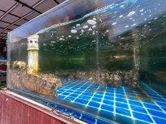 -87号烧烤海鲜·大排档(金沙滩店)