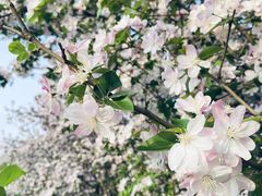 -洛阳市隋唐城遗址植物园
