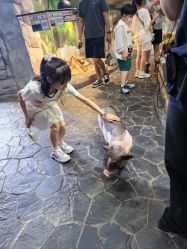 -Zoolung Zoolung动物主题公园(海信广场店)