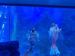 -广州海洋馆