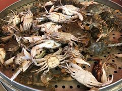 -张会海鲜饭店(东戴河店)