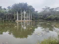 -中国科学院西双版纳热带植物园