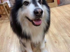 -白兔子密室(长寿路店)