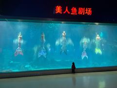 -福州罗源湾海洋世界旅游区