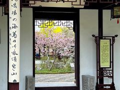 -枫桥景区