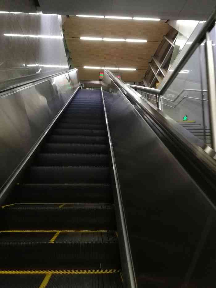 滨河路(地铁站)-"今日春分94 "错过了秋枫冬雪,便会迎.