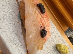 -鮨政· Omakase(港汇恒隆广场店)