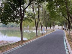 -合肥野生动物园