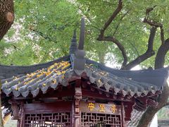 -绍兴古城