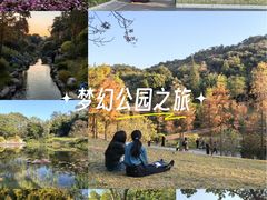 -云溪植物园