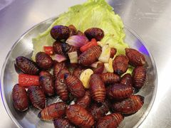 -小团团·路边烤牛肉(南岭壹街店)