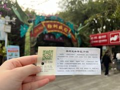 -瑞丽独树成林风景区