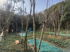 -湖鲜楼