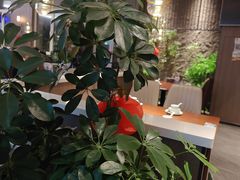-纪林菜馆·博山菜老字号(华光路店)