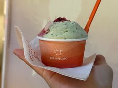 -DIP in GELATO(富民路店)