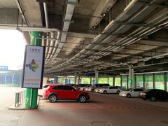 -南京奥林匹克体育中心-体育馆