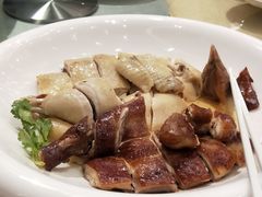 -千灯盛汇·头牌粤菜(致越优城店)