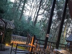 -巴倒烫陆派火锅山庄(南山总店)