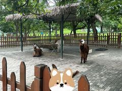 -西安秦岭野生动物园