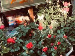 -循礼门鲜花花市(武汉循礼门店)