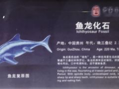 -中华赏石园