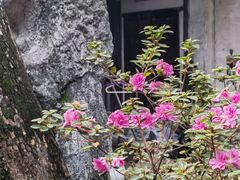 -小雅青年旅舍(平江路店)