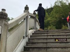 -飞来湖湿地公园