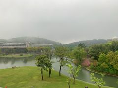 -上海佘山世茂艾美酒店