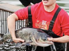 -解家河南菜(商鼎路店)