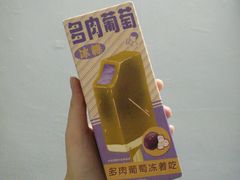 喜茶&nbsp;多肉葡萄冰棒-喜茶(东莞雍华庭店)