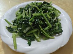 -煲来饱去冷水鱼