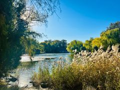 -三忘湖 SWANSEEN(柳荫公园店)