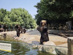 -常州淹城野生动物世界