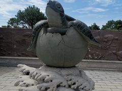 -广东惠东海龟国家级自然保护区