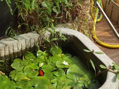 -箪食记(汉口路店)