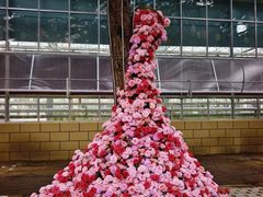 -北国之春国宴(乌兰察布店)