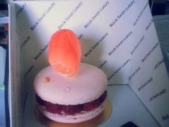 马卡龙-BLACKSWAN黑天鹅(环球店)