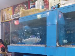 -东鸽皇(奥园·中环广场店)