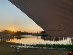 -春花秋色城市公园