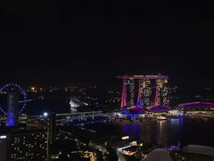 -新加坡瑞士史丹福酒店