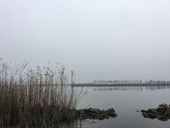 -合肥滨湖国家森林公园