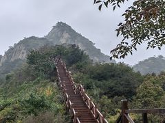 -大岭沟猕猴桃谷风景区