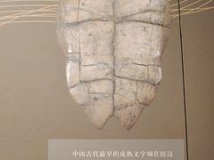 -四川大学博物馆