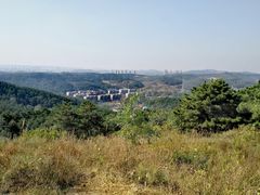 -高尔山公园