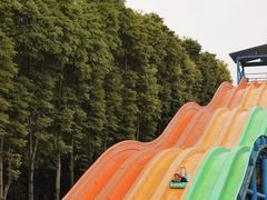 -重庆海昌加勒比海水世界