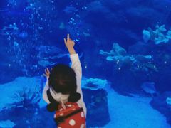 -成都浩海立方海洋公园