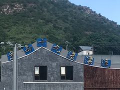 -十渡高山漂流